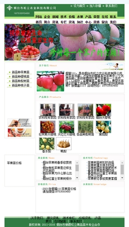 ɽ�|���_(t��i)�O����